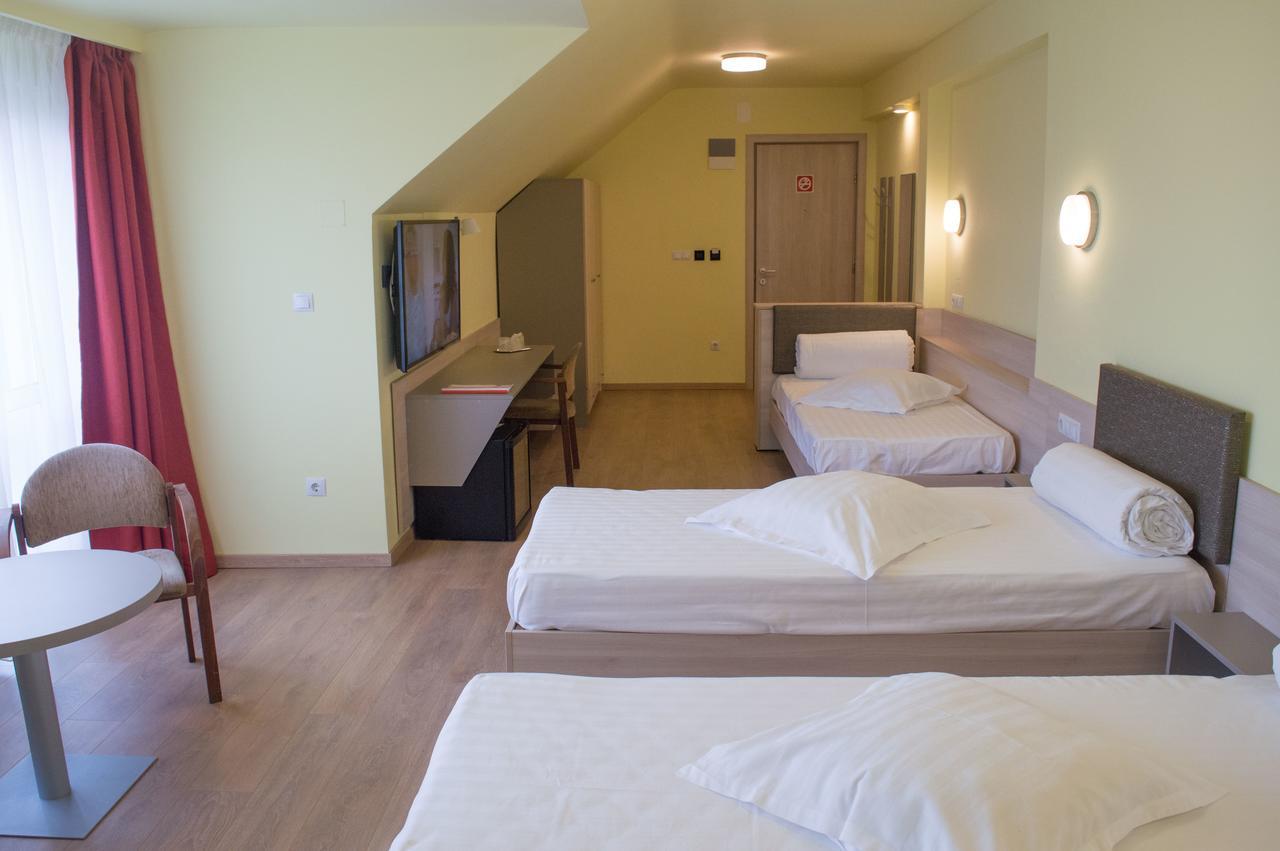 Hôtel Vila Rosa 2 à Cluj-Napoca Extérieur photo